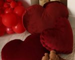 کیفیت کوسن ساده و مغزی دوزی شده قلبی